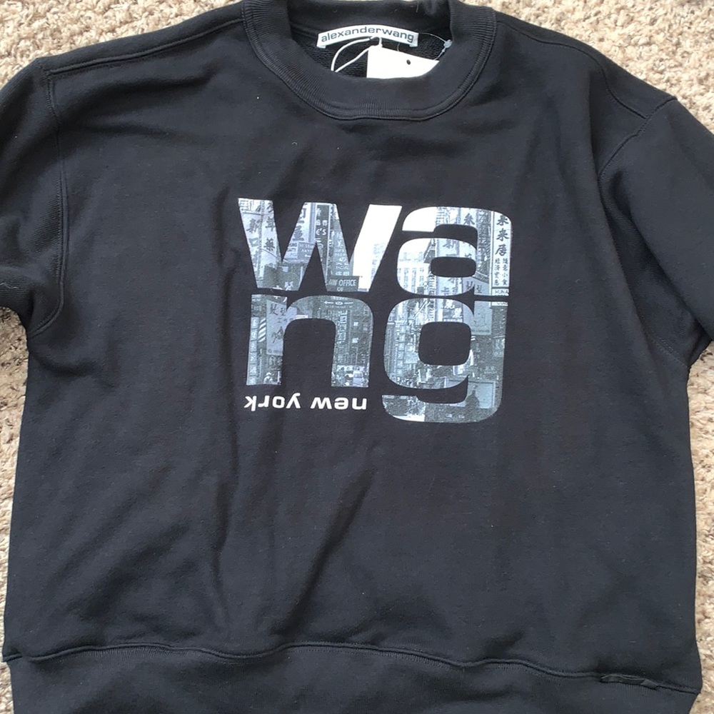 Alexander wang sweatshirt